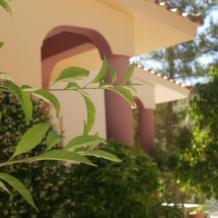 Kefallonia Bay Resort Spartia (Kefalonia) Exterior foto