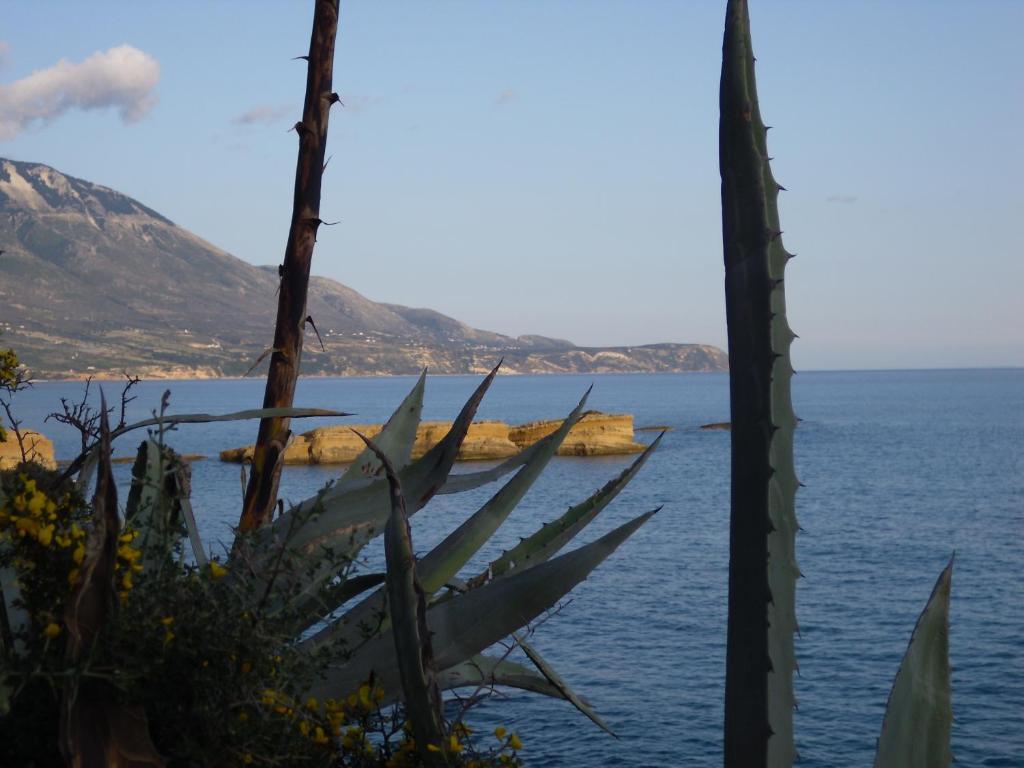Kefallonia Bay Resort Spartia (Kefalonia) Exterior foto